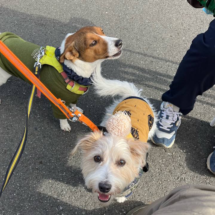 F2fcd5af e22d 4faf 956a d5ddeb2a1ce3 1765627041799