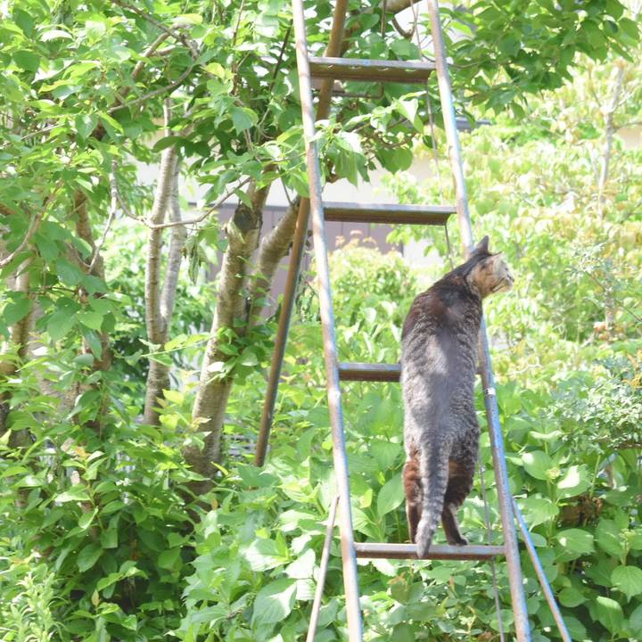 F2fcd6b9 acb2 45a5 8931 2be6f724b1b7 1525485454151