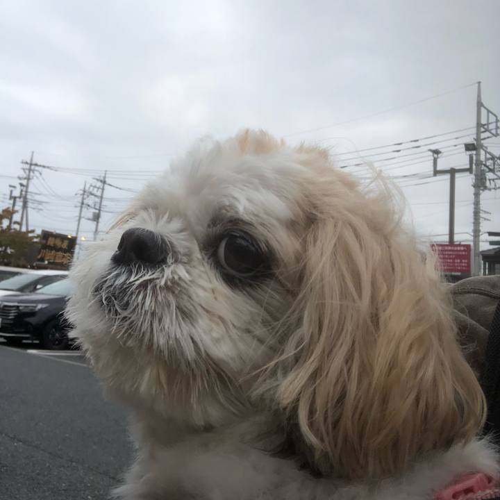 F2fce6c5 c568 4ed7 971f 9e775f0de0c7 1632865599203