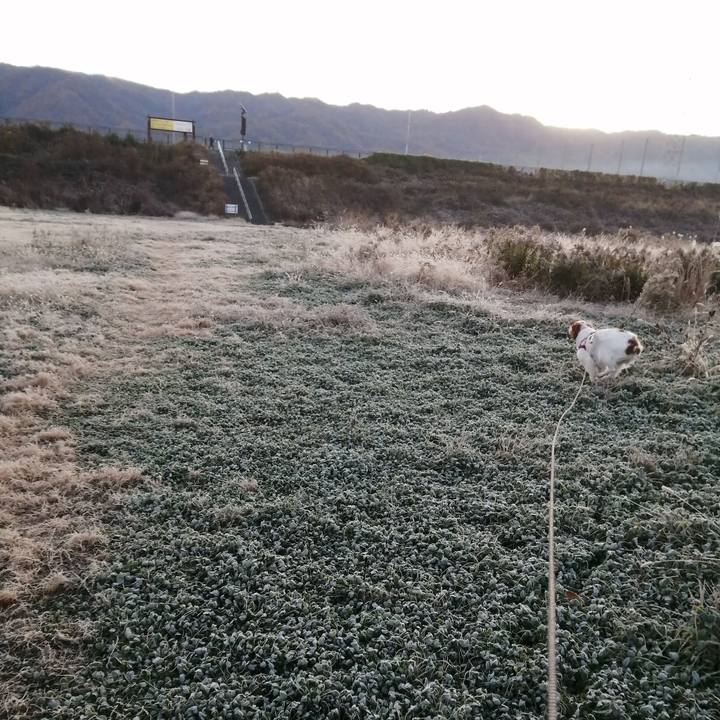 F2fced27 a39c 47c2 878f 97c58afb5e6b 1576196210061