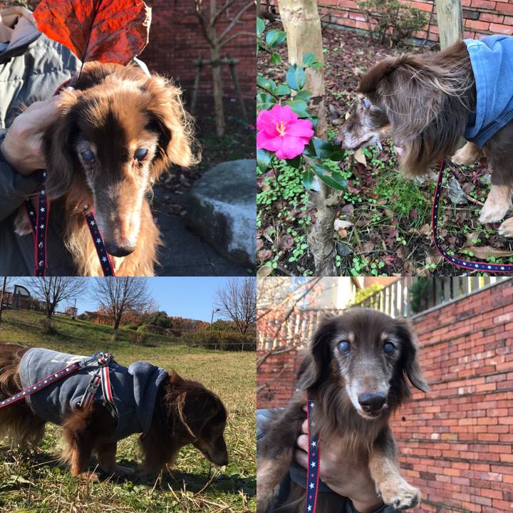 F2fcf5dc 1170 4736 97fb 41b2fa05e760 1575787991784