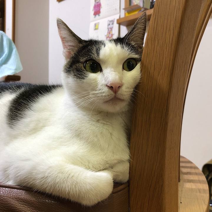 F2fd0352 fa92 4860 bae9 e06ebd56dc29 1662633388785