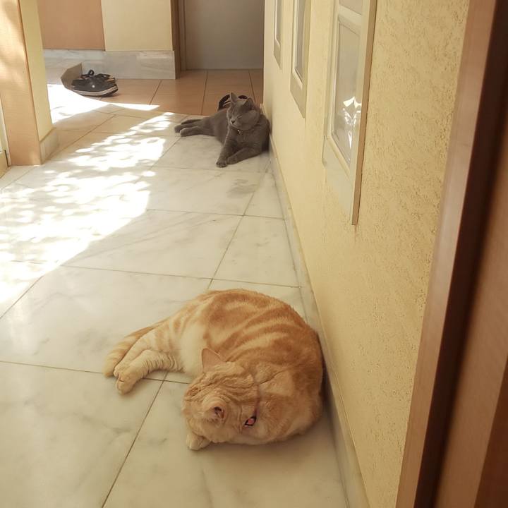 F2fd5428 8417 4d75 b1df 31992e5446bd 1536115178437