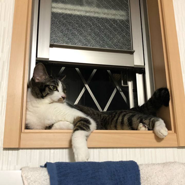 F2fd5ceb 2b8e 4bf9 8220 f3e5d4558fd1 1531855801465