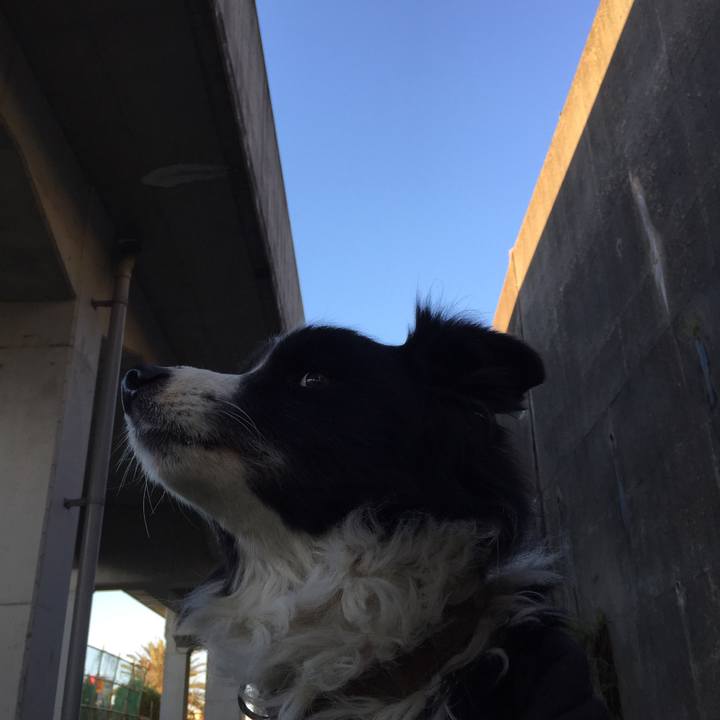 F2fd5d6d 97dd 46e2 b735 4372b87b752e 1546557444982