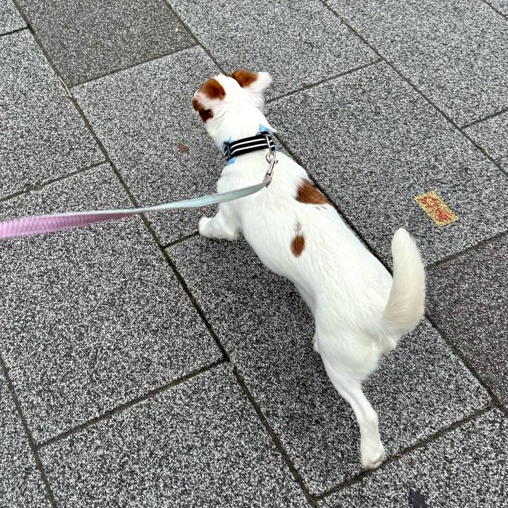 F2fd6a5c 74af 4fde 8d79 269a696a6ca0 1746951149642