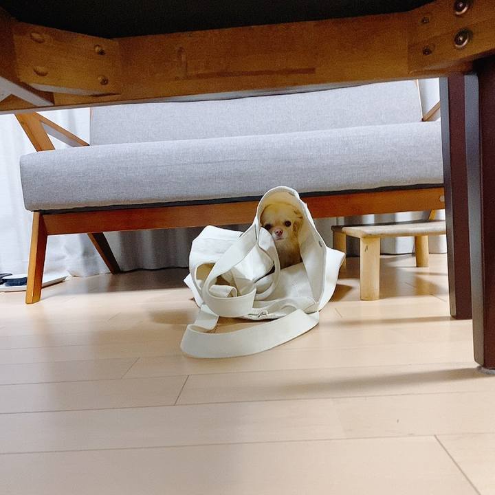 F2fd7485 bebd 419f bfe1 6d5f6addb3f8 1616838777887