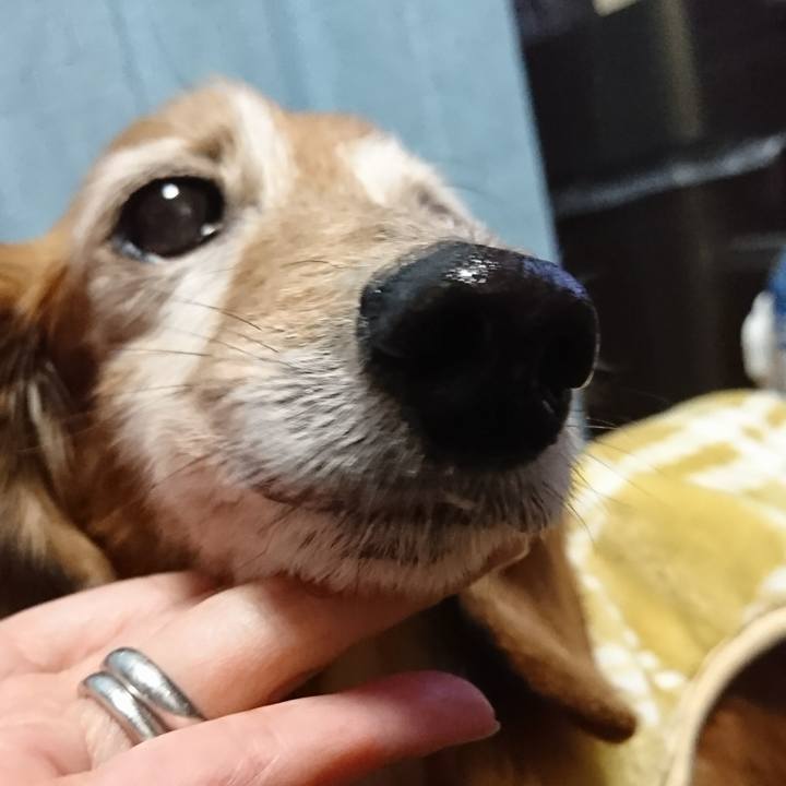 F2fddb9c dd01 4625 94dc 06826e35d4bd 1516872809267