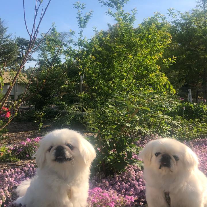 F2fe2148 75e0 4c70 9c50 4e7d68ec41a8 1619178591073