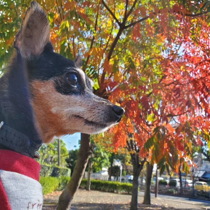 F2fe2585 a5de 4bdc 8ffc 6233ff7c689b 1670720254815