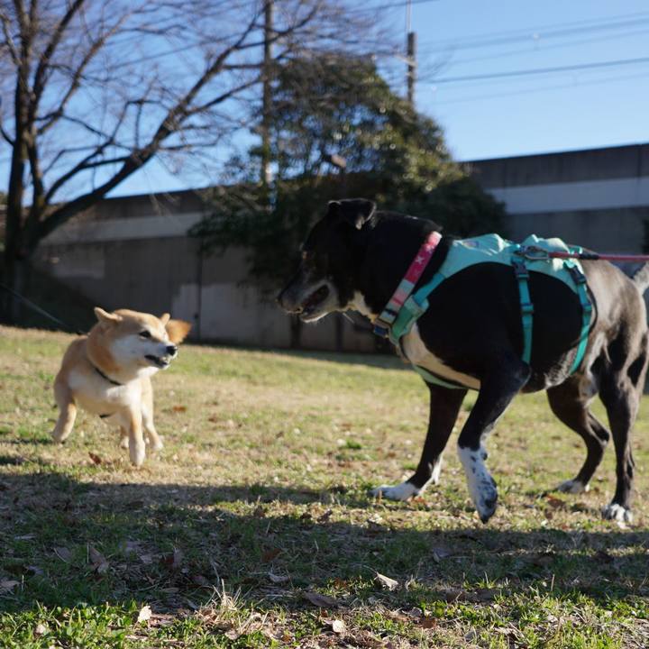 F2fe2631 22a3 48bd bbc6 45ff3a14d825 1772670535426