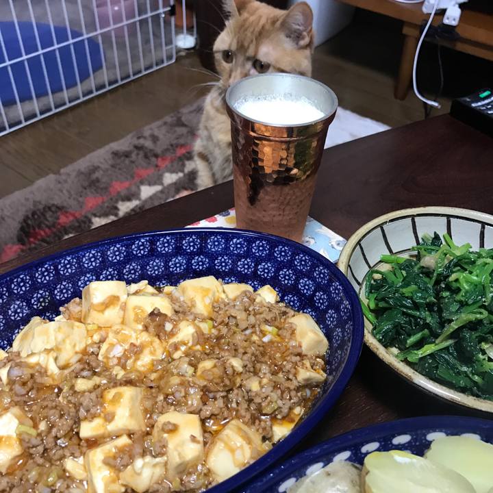 F2fea8bd 6e71 4ac1 8be2 0c24944d072e 1520853517074