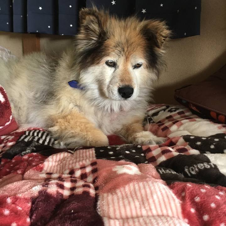 F2feacb4 225d 4984 9ed1 c94f5658561f 1548220091786