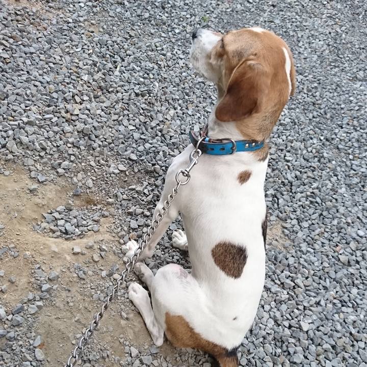 F2fecb22 1153 436c a97c bb6f06ddc816 1568870832519