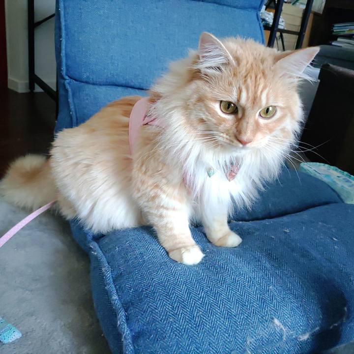 F2fed1a8 e019 4cc0 ae28 d71904c0aada 1653452135802