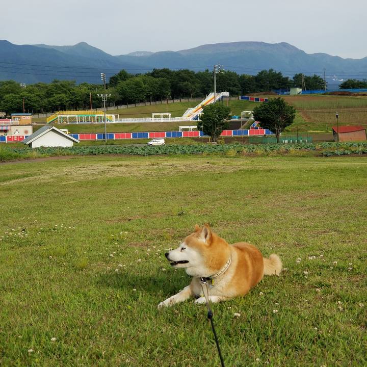 F2fed38d 6c6e 44dc 85e1 6c75da368104 1654071120970