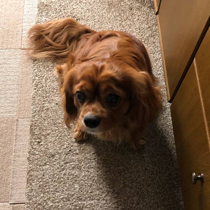 F2ff2e33 a89c 472e 9cc4 8c94e5577723 1617055686003