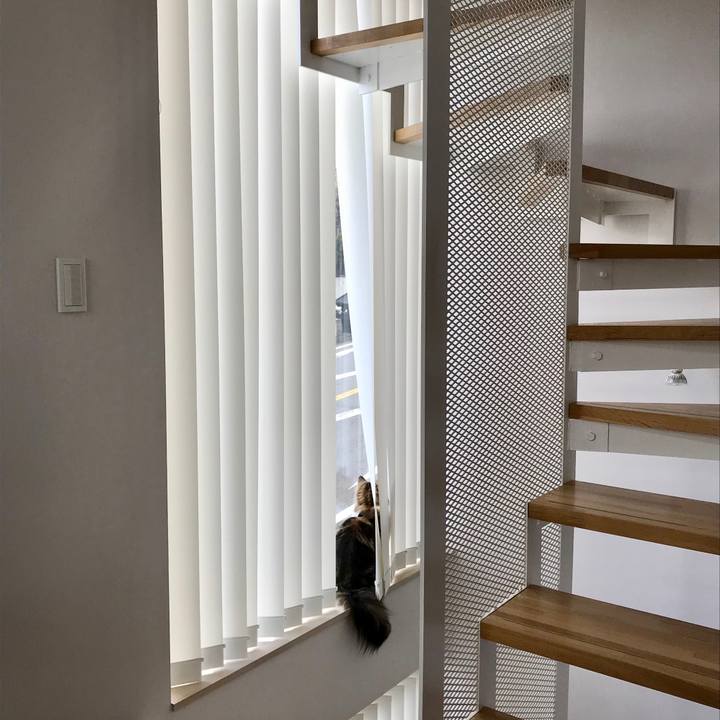 F2ff71a3 4621 403f b439 163650b89793 1552949570351