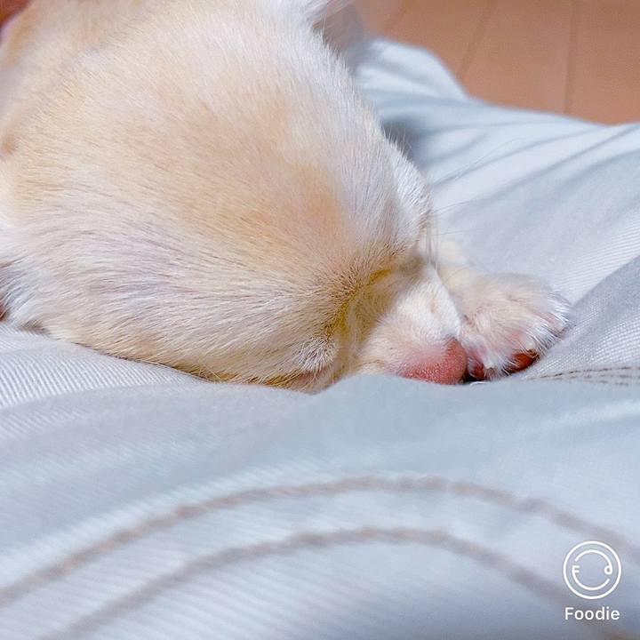 F2ffbd4a 618c 4d65 8247 7985561dc279 1599706414129