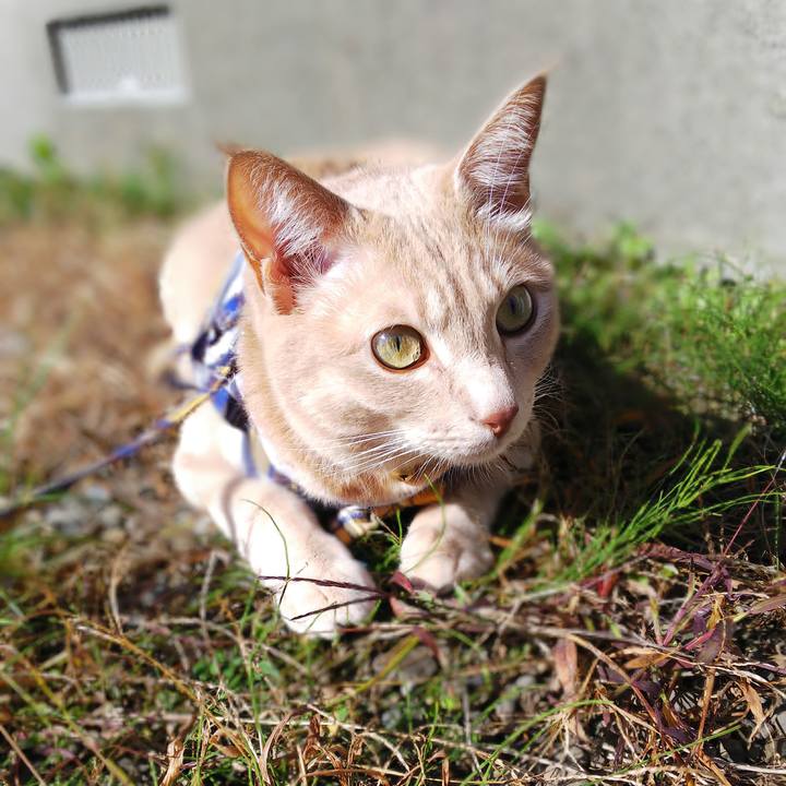 F2ffcc3a 2c2c 4ab2 b654 3243e9ebc899 1571536000763