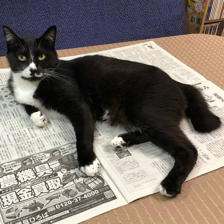 F2ffde95 3f56 41d9 a66a 12ffcbf44c66 1627962285886