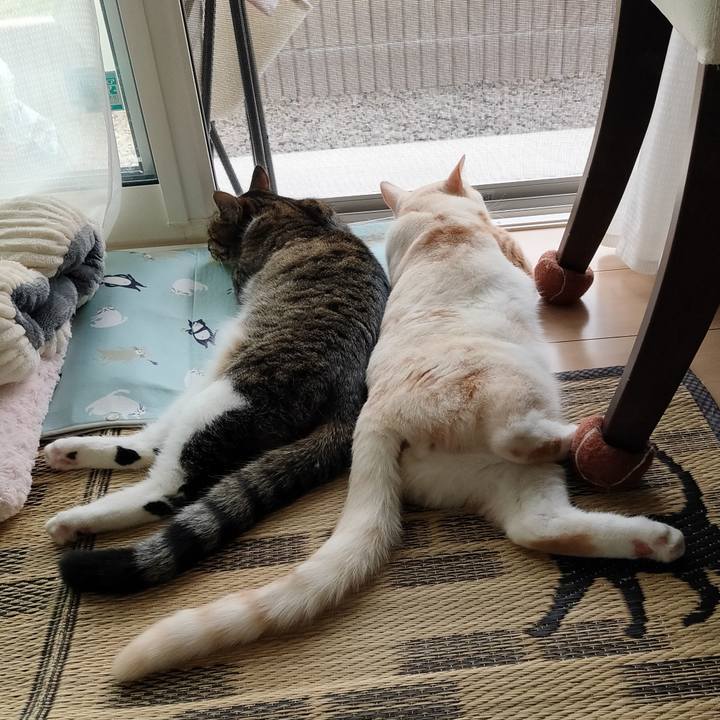 F3000dbc 984e 4871 b17e 4906746bfe94 1653025180785