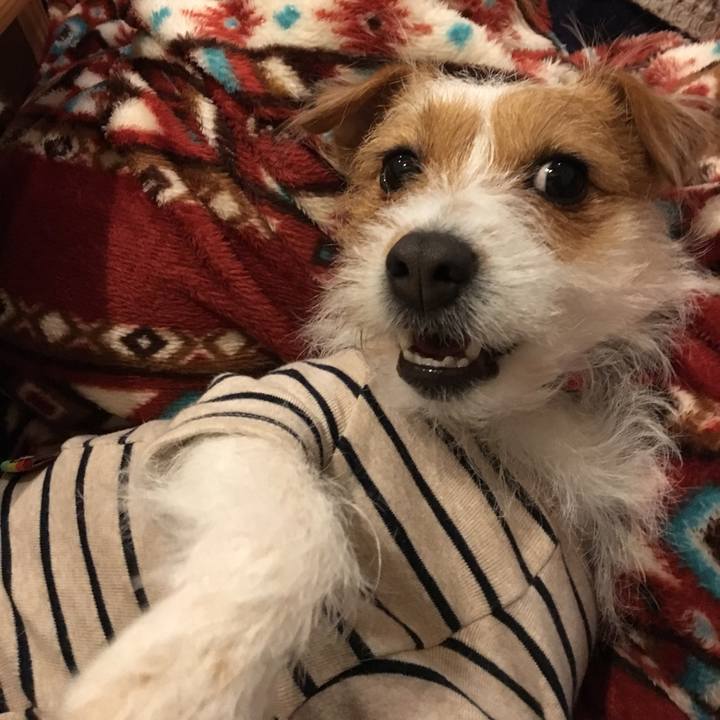 F3001ccb 5b65 4aa2 8c00 64badc685144 1517147986355