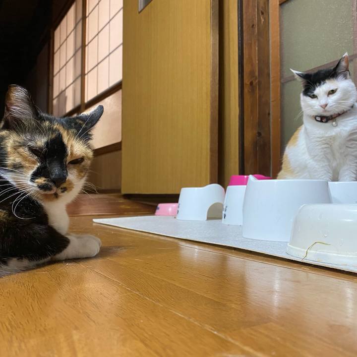 F30071ea 2b28 4e74 b402 57876d45cff4 1653340897031