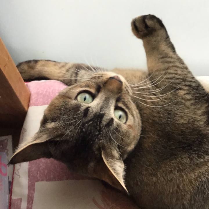 F3007cb4 7c5c 42fc b174 1b5279832435 1587982138726