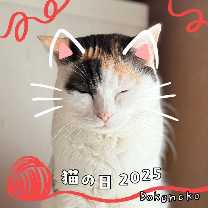 F300bc76 0c67 4842 a7f6 9fbc9f375c95 1740187091020