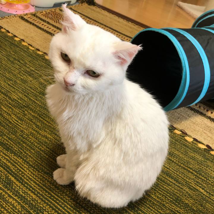 F300caac 172b 49ef bed1 b02db0ffa64e 1563182171923