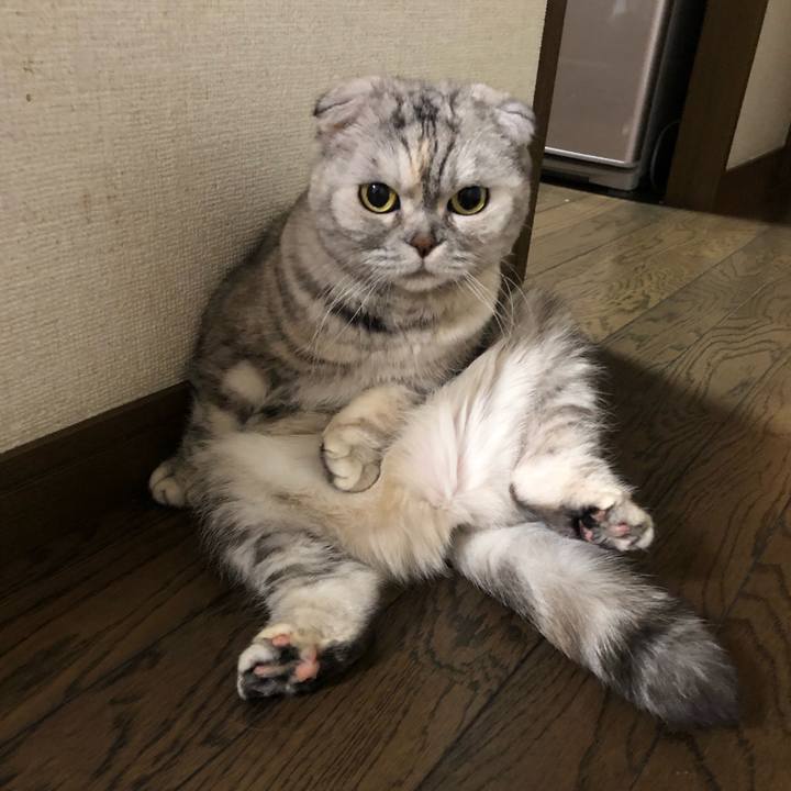 F300dd6f f5c5 409f ad5a b41375f51308 1648640329140