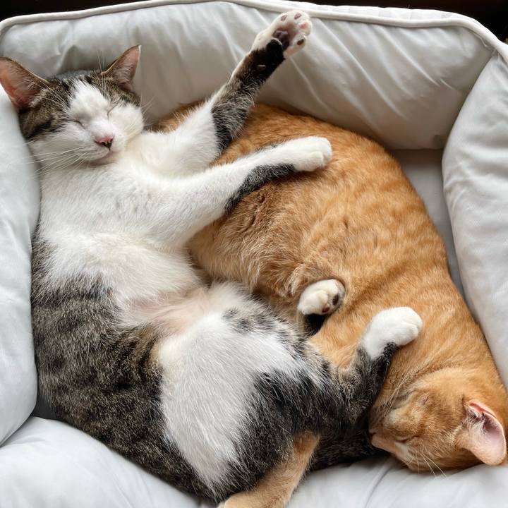 F300dd80 1b29 4f96 9ea4 d7b1c983a7ef 1777785908244