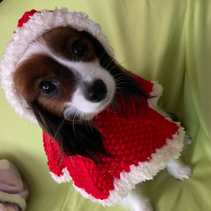 F3011c27 15fc 4961 ac1c b1178ca0eec0 1634716360301