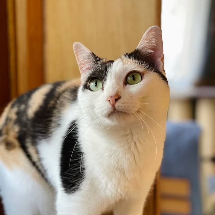 F3012da7 04a4 4fa9 beaf 009bca7834ed 1628213218928