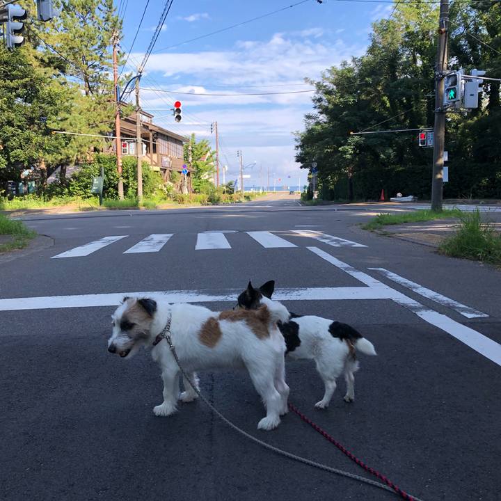 F30154e8 552d 455d 9bf6 34b4e1bde38c 1565308552710