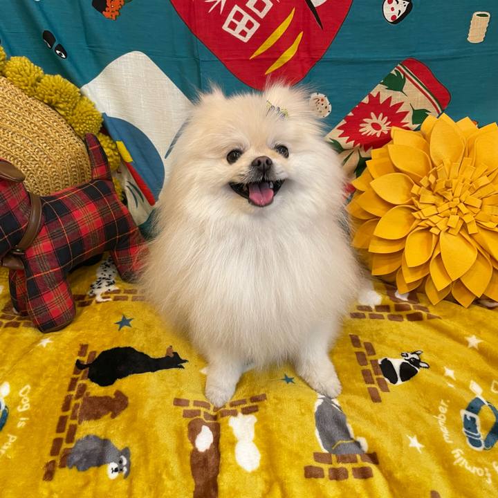 F3015afd be99 49ae a301 2cf30dba0b75 1642685927232