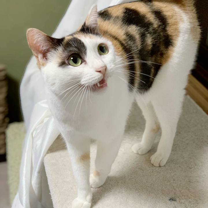 F3015e93 c251 40b7 bb63 d27dced512db 1540086445155