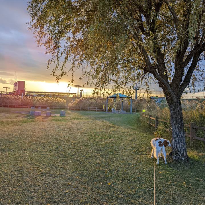 F3018a43 b7db 49ae 9302 de40d419a940 1636112847152