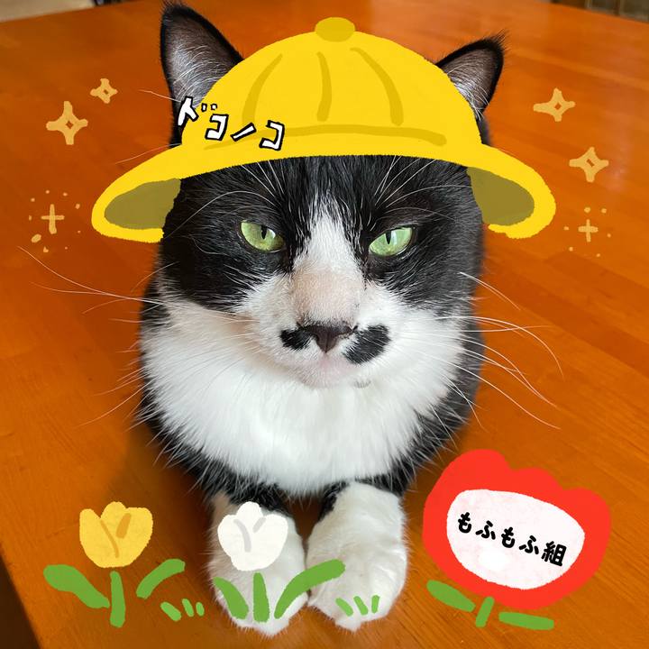 F301a7c4 7dcd 4946 85eb adf08bf4e300 1712229514206