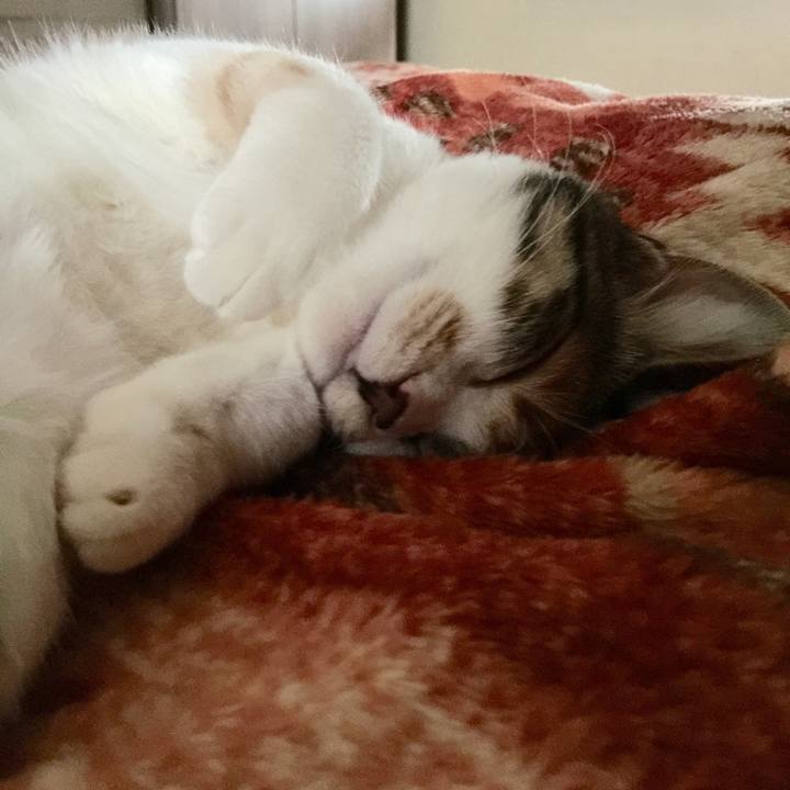 F301ac65 ec0c 4d6c a97a d72f5043cf48 1639454117702