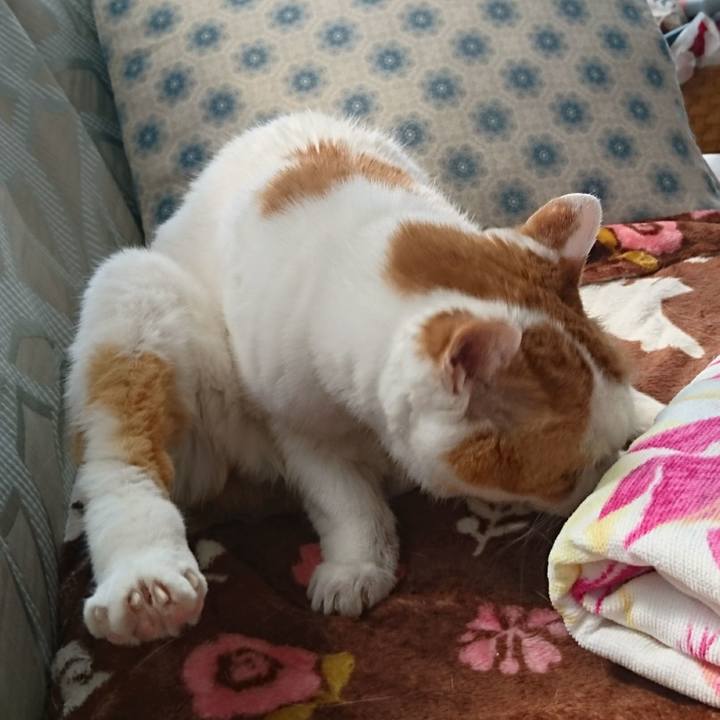 F301b664 c315 4949 bf1b 71a16ad12c72 1525152029702