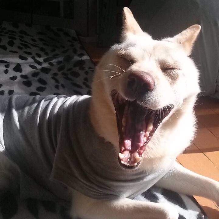 F3020594 b385 4c48 bc19 568a282dba46 1525007924027