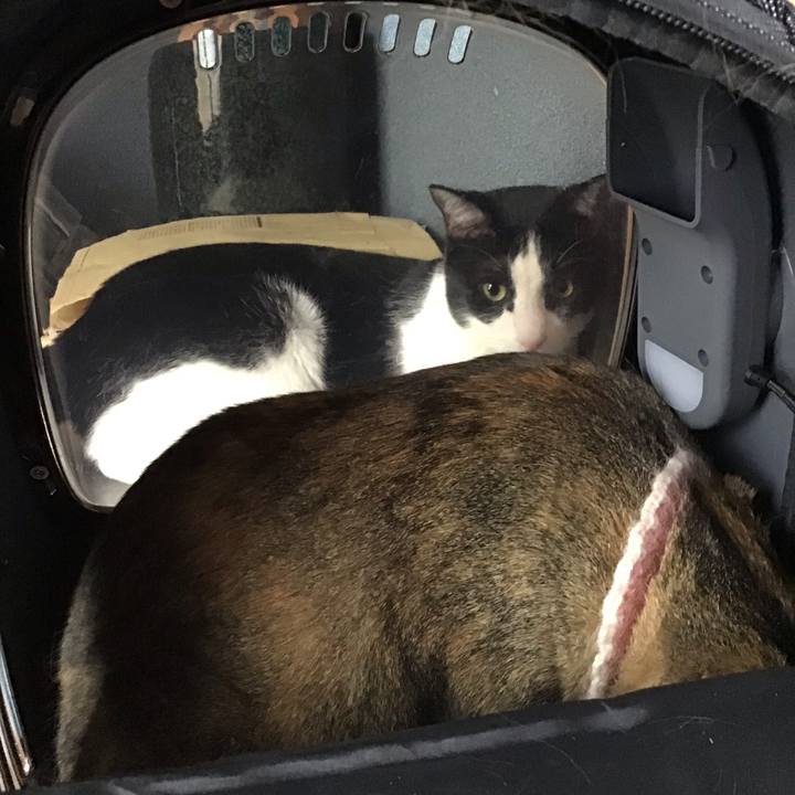 F3021efd 9c38 44d1 8e2e 33eda31bccdc 1722761391392