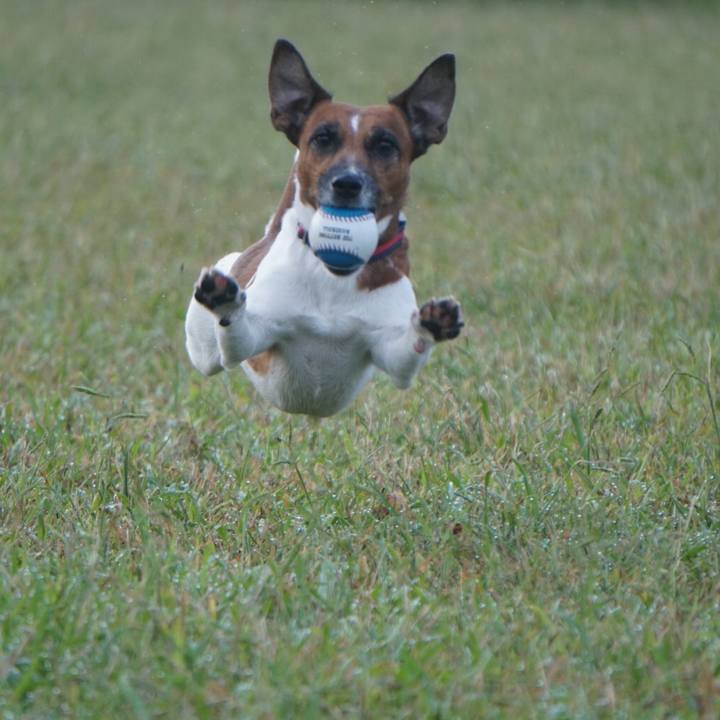 F302269a d279 411a 8b19 644dcd393d42 1539903834541