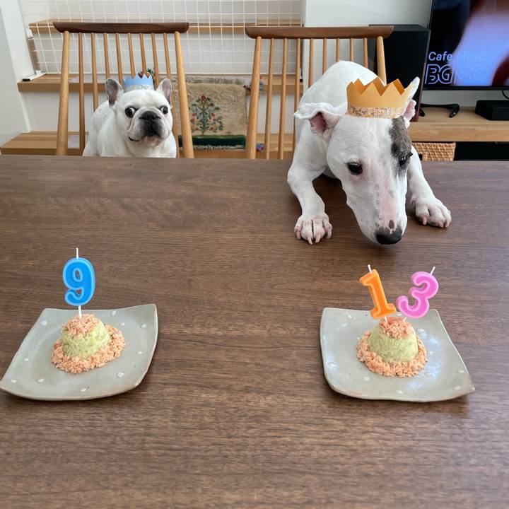 F3023274 c3c1 4bd1 952c c1742a810020 1632541623924