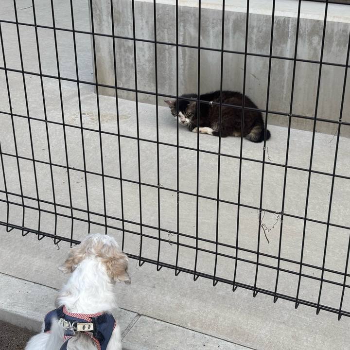 F30241f3 92d1 4a61 acfa 256f71ff0383 1759099096161