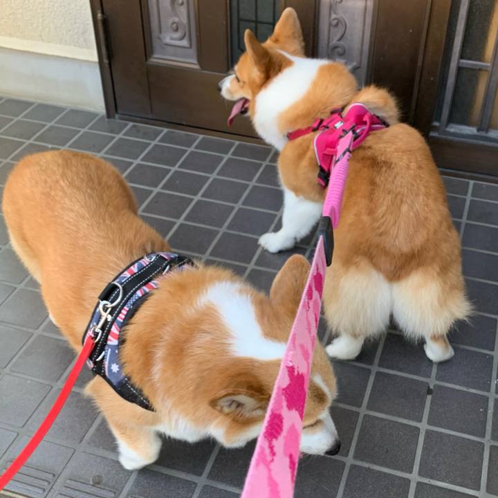 F30243ce 515d 499f 9b7b 507e40318848 1629416060121