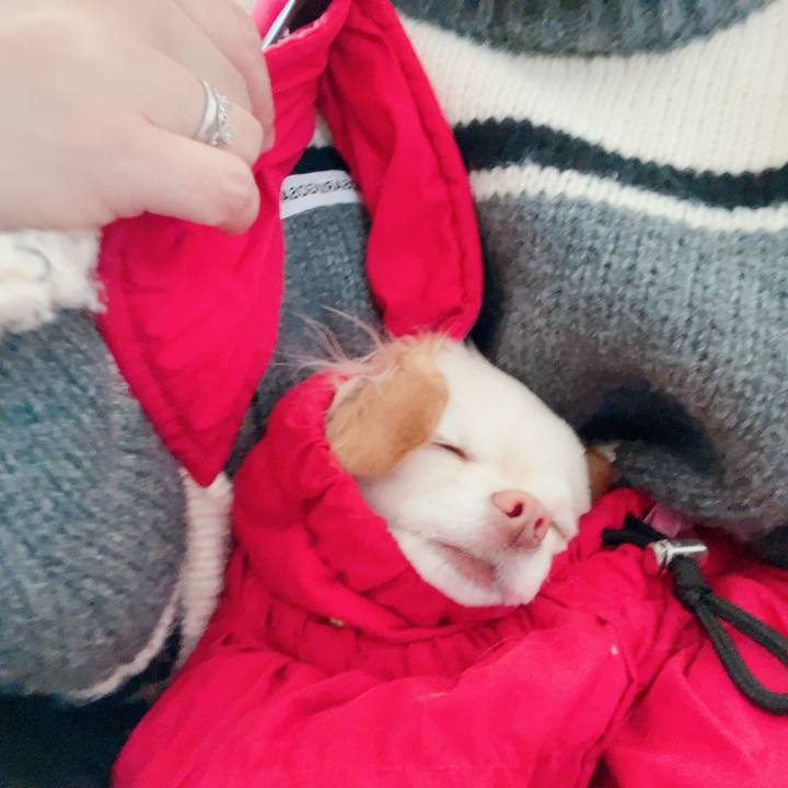 F302481b 4923 4b59 b9f1 c886fdeee4bc 1706846468884