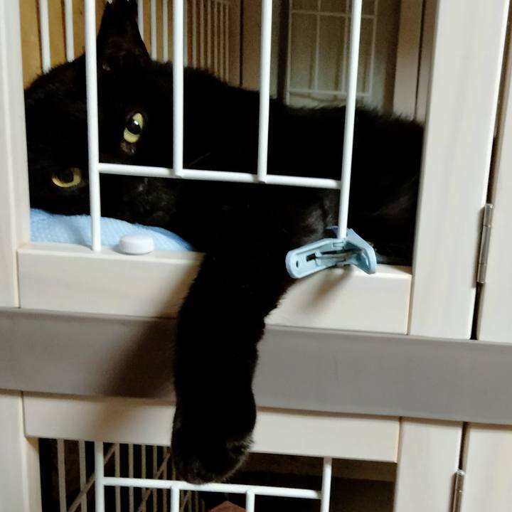 F30264b6 c9e4 4f95 9df7 b4820350a299 1661394184596